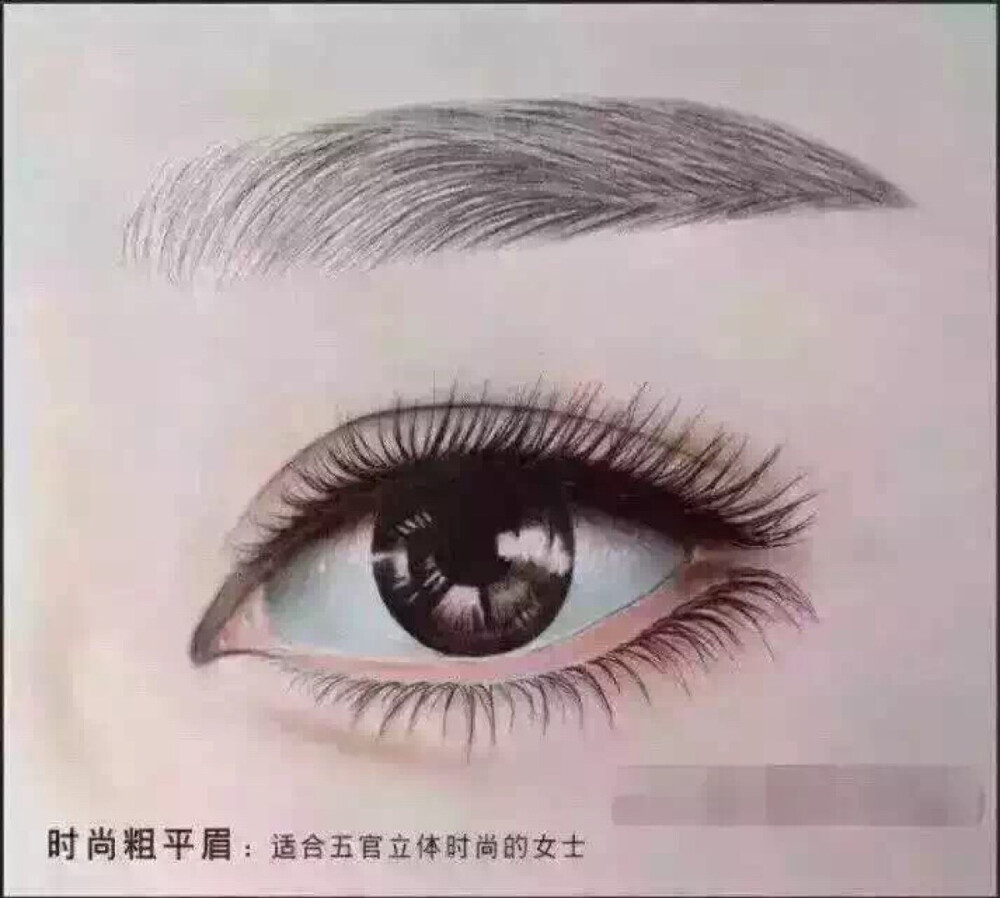 粗平眉