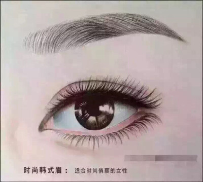 韩式眉