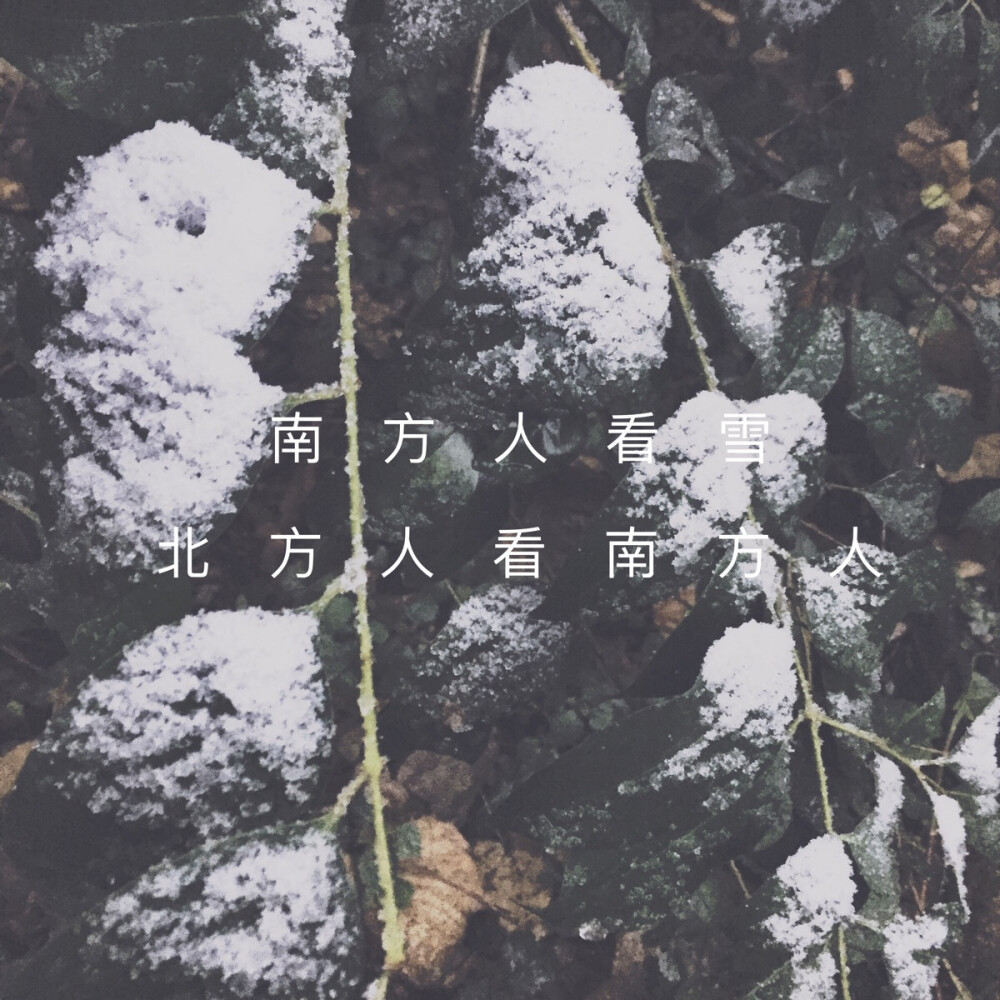 重庆下雪了