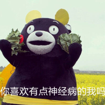 微博der 熊本熊kumamon～