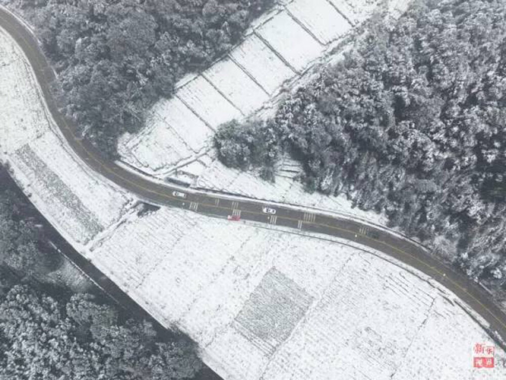 美丽冻人丨视界开启下雪模式