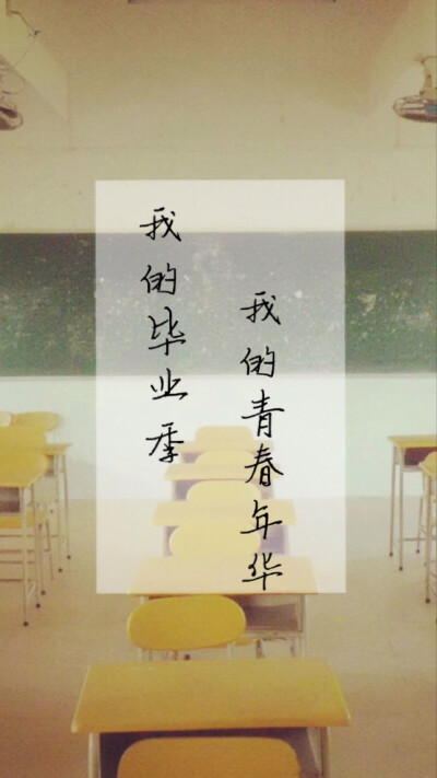 小白狗专属，大字的哦！