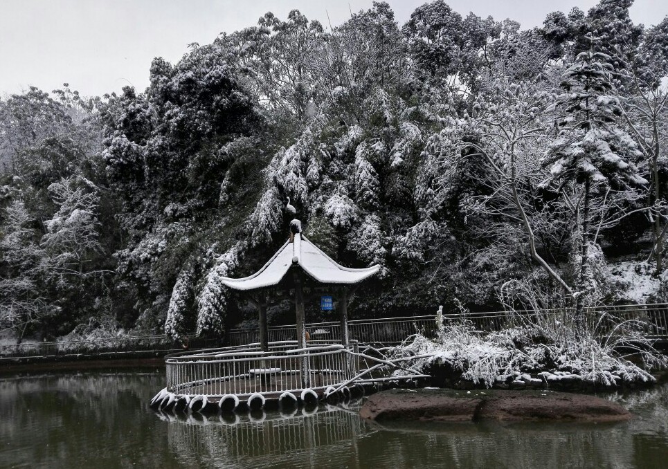 重庆下雪啦，二十年不遇哟～下得好大，一整天没停过！山上超多人，每张脸都是笑盈盈的，简直是比过年还幸福。