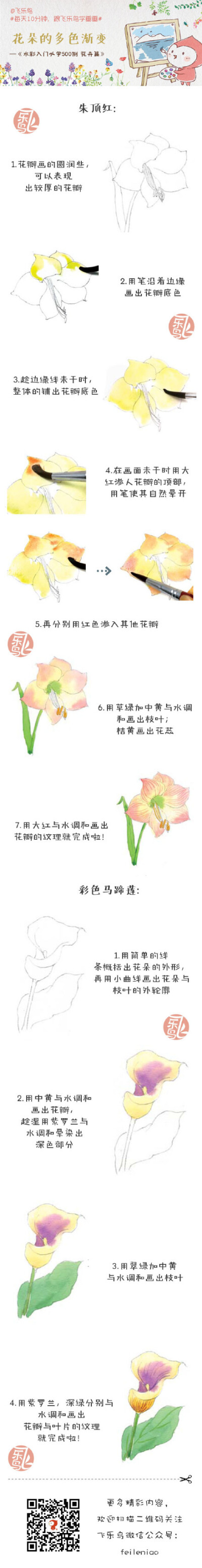 水彩教程-花朵的多少渐变.出自：飞乐鸟.