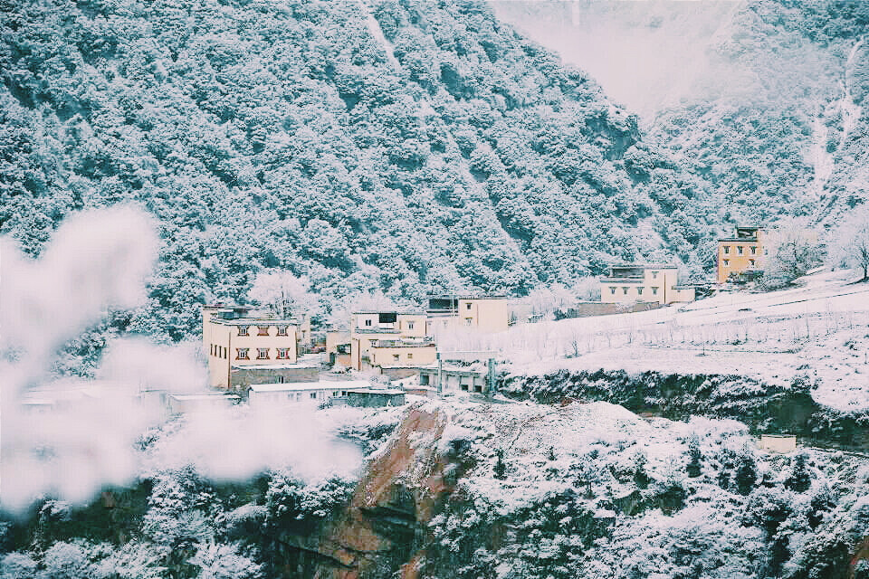 雪景