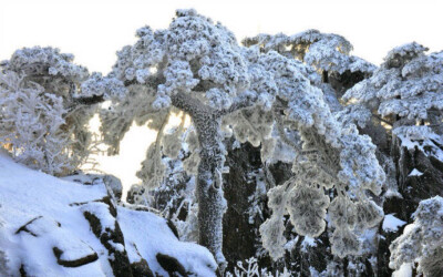 黄山雪景