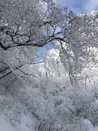 黄山雪景