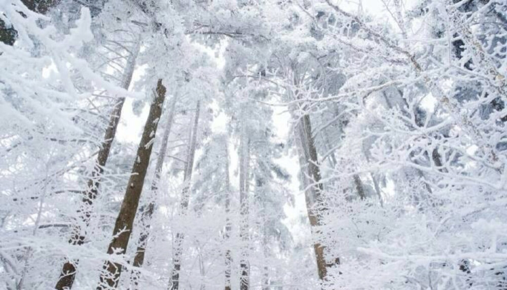 黄山雪景