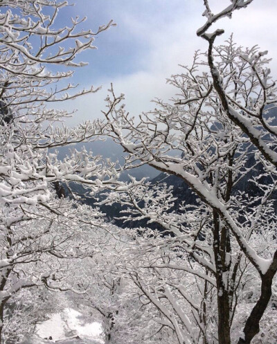 黄山雪景