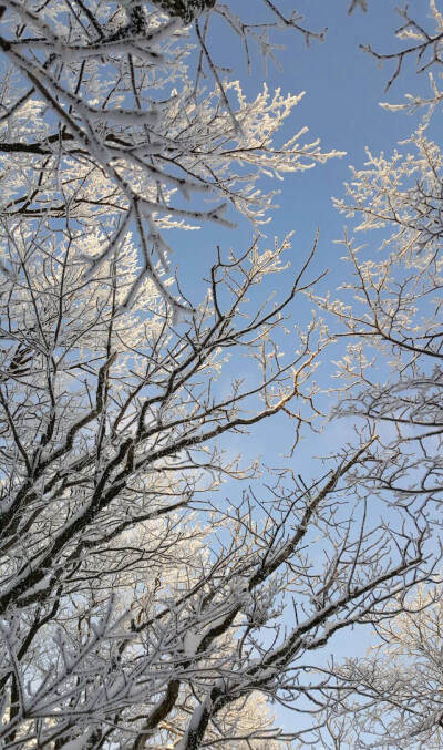 黄山雪景