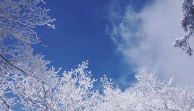 黄山雪景