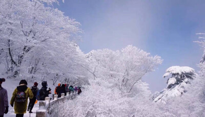 黄山雪景