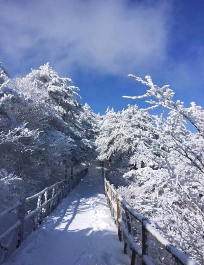 黄山雪景