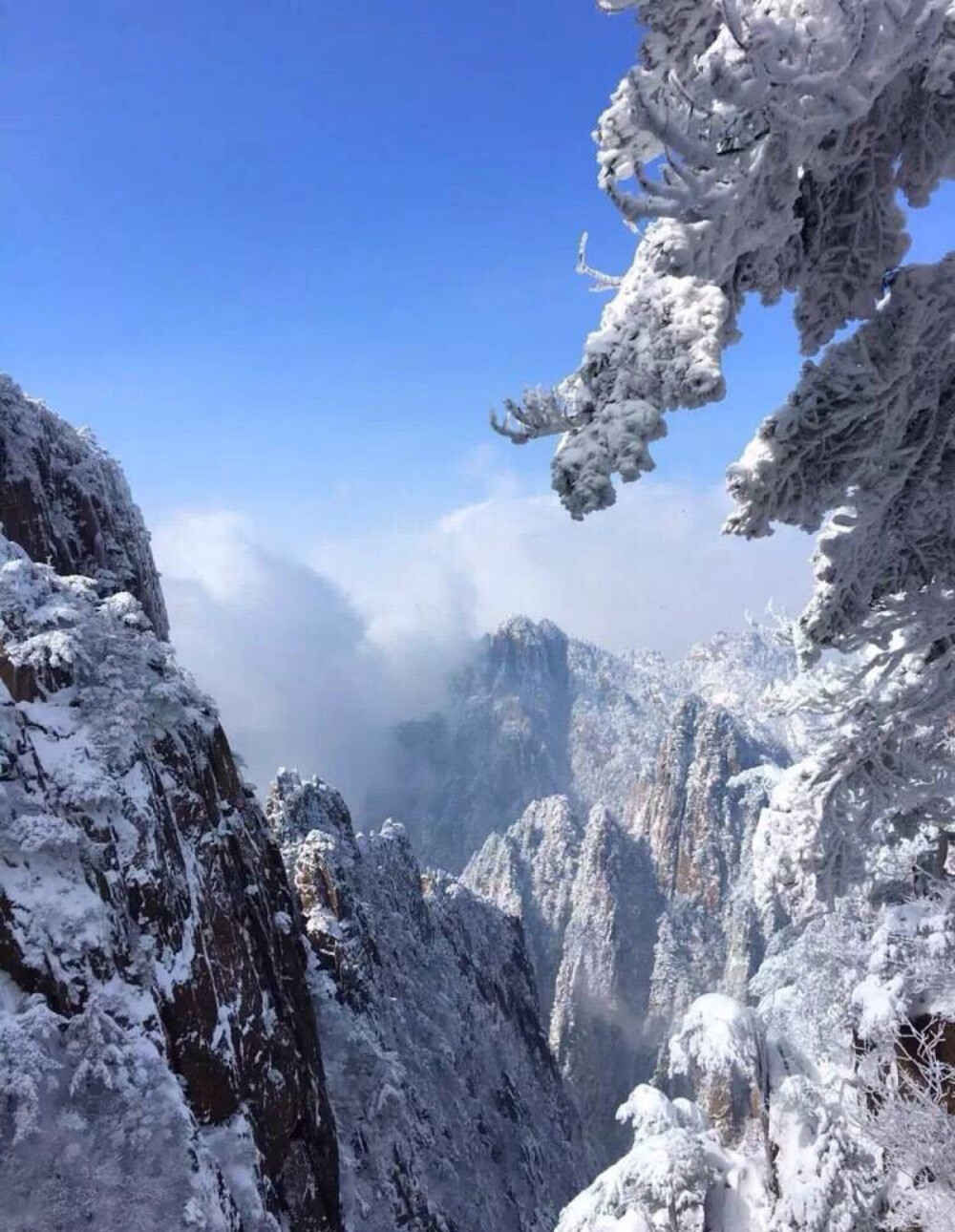 黄山雪景