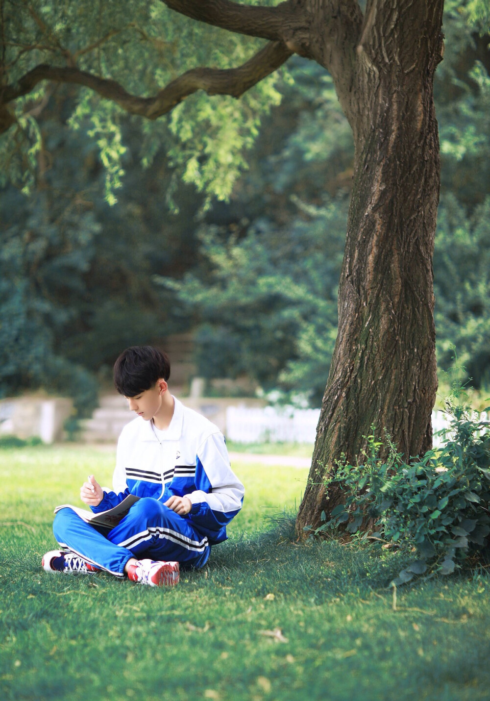 wulioppa61郭俊辰太子妃升职记杨严校园男神锁屏壁纸屏保头像