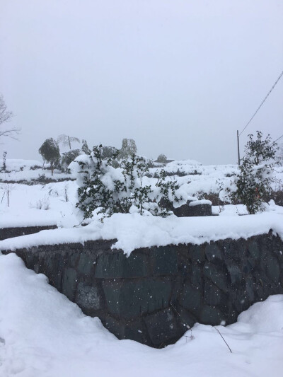 奶油雪