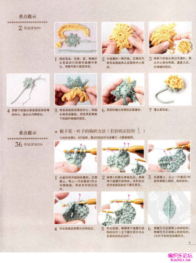 编织乐论坛 花花草草