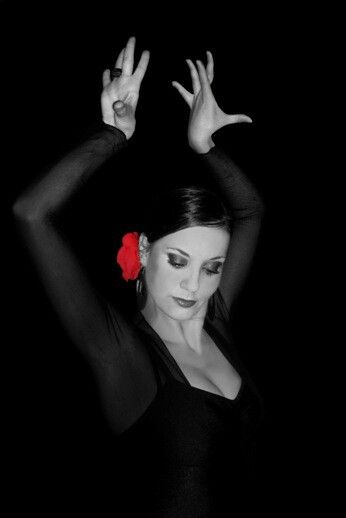 Flamenco Dancer