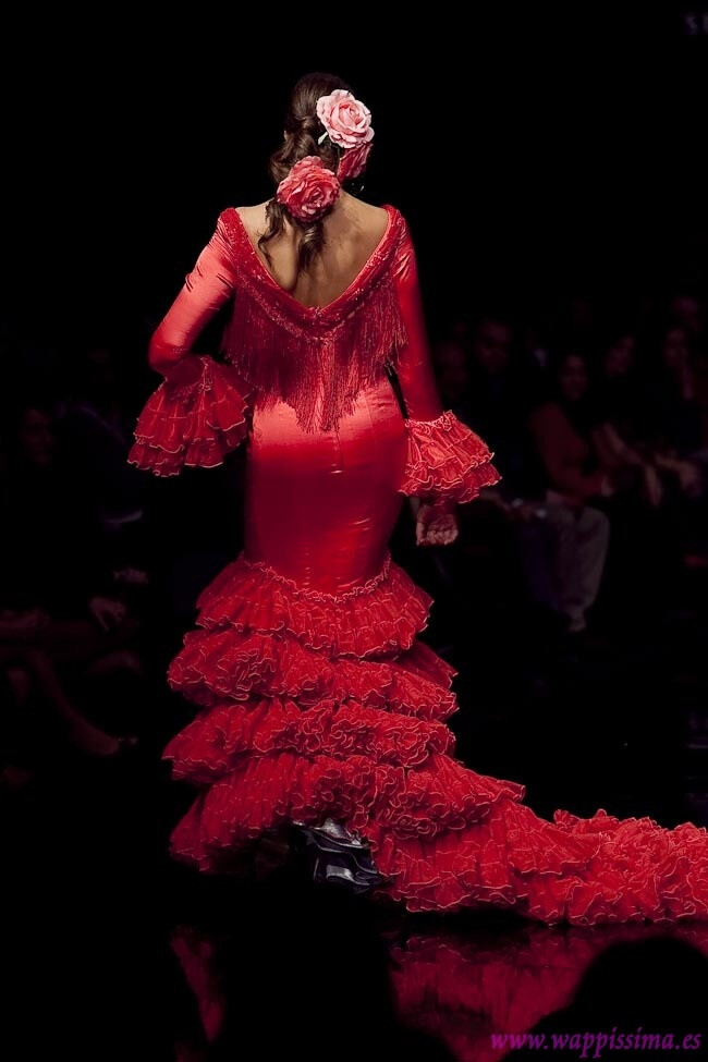 Flamenco Dancer