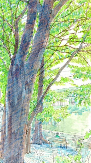 始终是那个独自立在树下，痴痴地抬头望着树上，不言不语又不敢靠近的局外人。