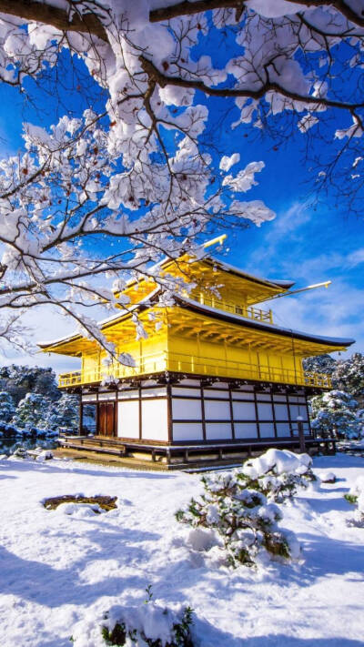 雪景锁屏壁纸原图第一波，关注我分享更多壁纸。