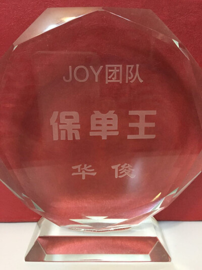 2015Joy团队保单王，把我的喜悦分享给你！