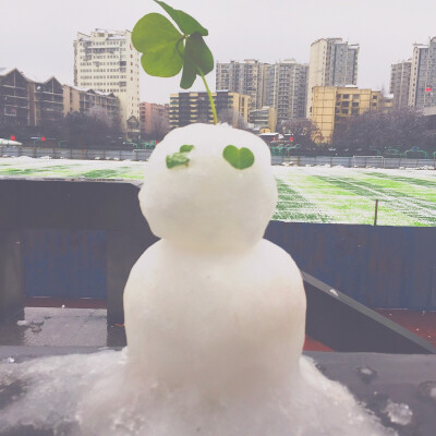 西南大学 雪人 重庆下雪了