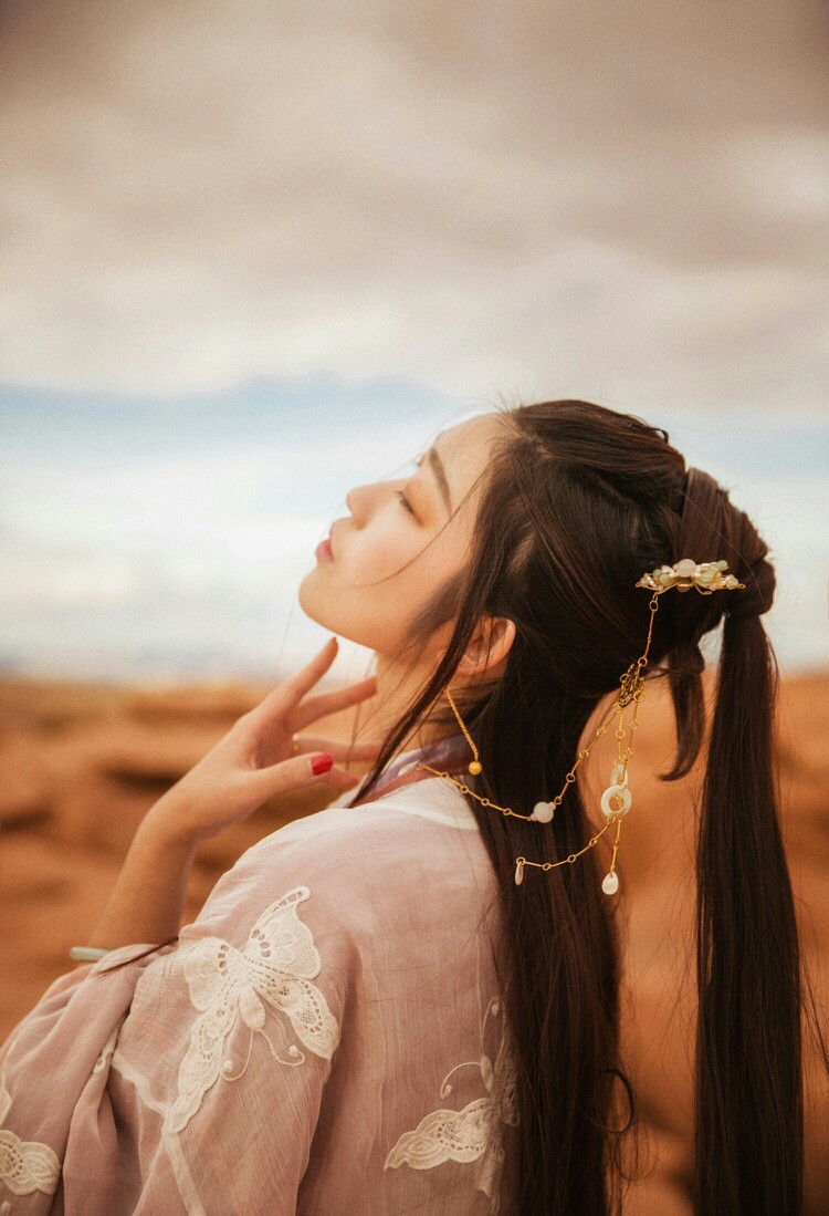 君不见走马川行雪海边，平沙莽莽黄入天。