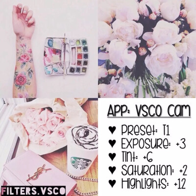 T2，曝光补偿：+3，色调：+6，饱和度：+2，高光减淡：+12