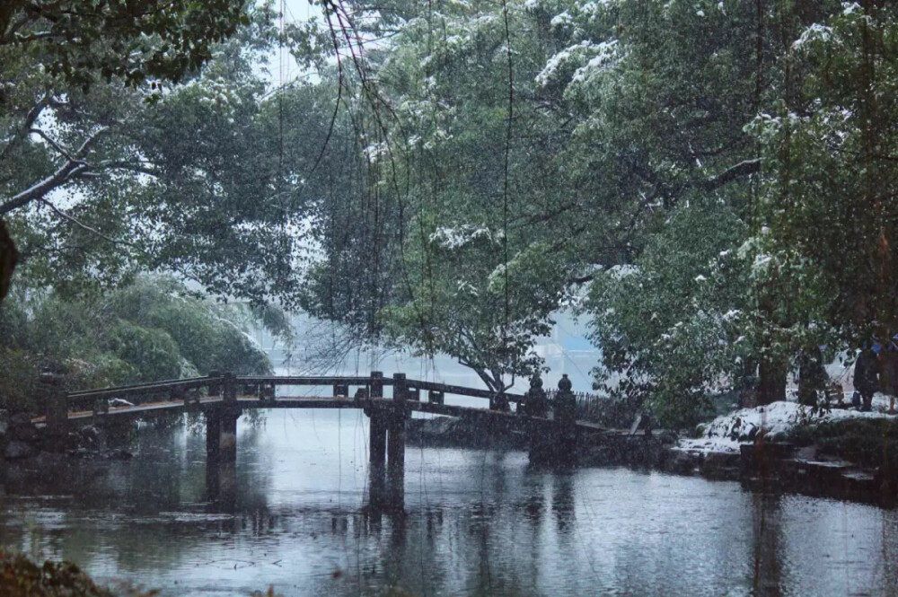 碎玉飞坠，琼枝横斜。一场雪，便能让琉璃世界降临于人间。有时想想，会觉得或许人们爱雪景不仅是它难得、美丽、又容易消歇。而是它更接近于某种对“净土”的幻想。就像唐画中的青绿山水总会慢慢蜕变为元代水墨挥就的枯木寒林。雪让一切变得干净，与安静。它吸收声音，却反射一切光辉。