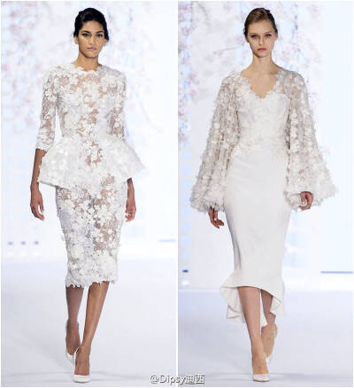 Ralph & Russo S/S 2016 Haute Couture｜英国高定礼服品牌Ralph & Russo这一季简直就是可以称为女明星们的红毯必备战袍系列，永远美好的花草刺绣什么的，仙得飞起