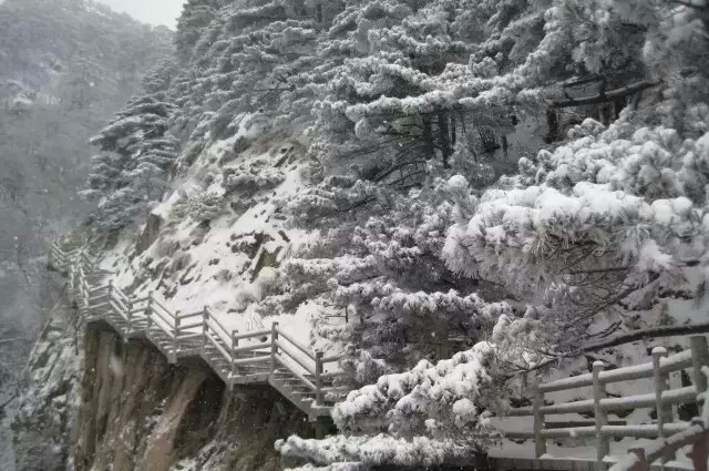 雪景