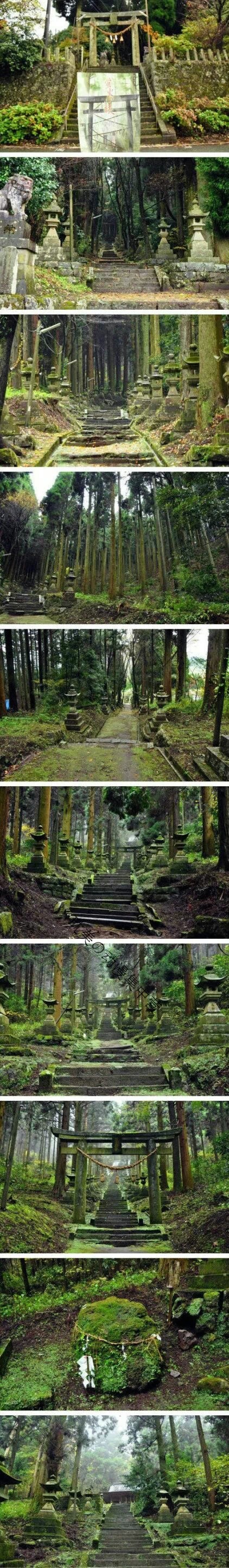 《萤火之森》的原画场景，取于上色見熊野座神社 