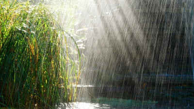 雨天。