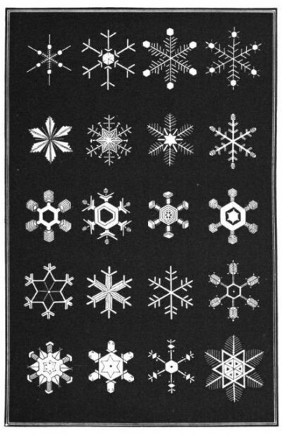 1863年艺术家Amer绘制的《Snowflakes》各种雪花图标