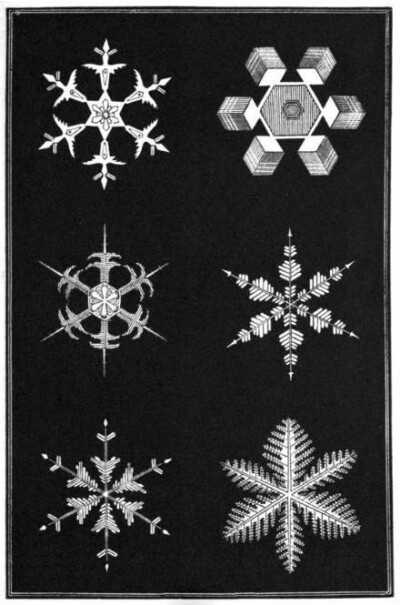 1863年艺术家Amer绘制的《Snowflakes》各种雪花图标4