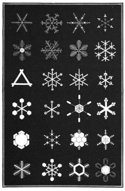 1863年艺术家Amer绘制的《Snowflakes》各种雪花图标5