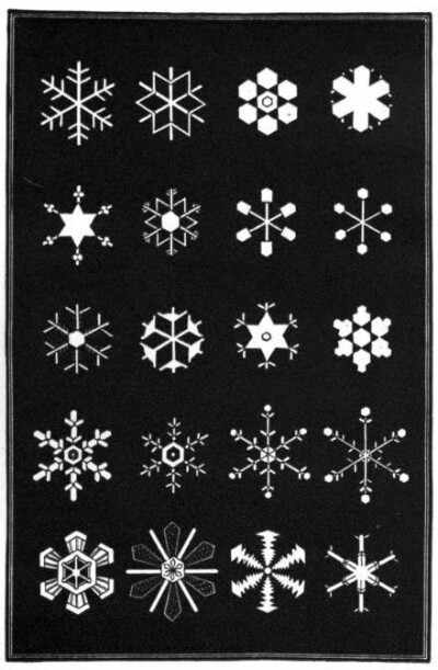 1863年艺术家Amer绘制的《Snowflakes》各种雪花图标6