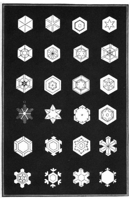 1863年艺术家Amer绘制的《Snowflakes》各种雪花图标7