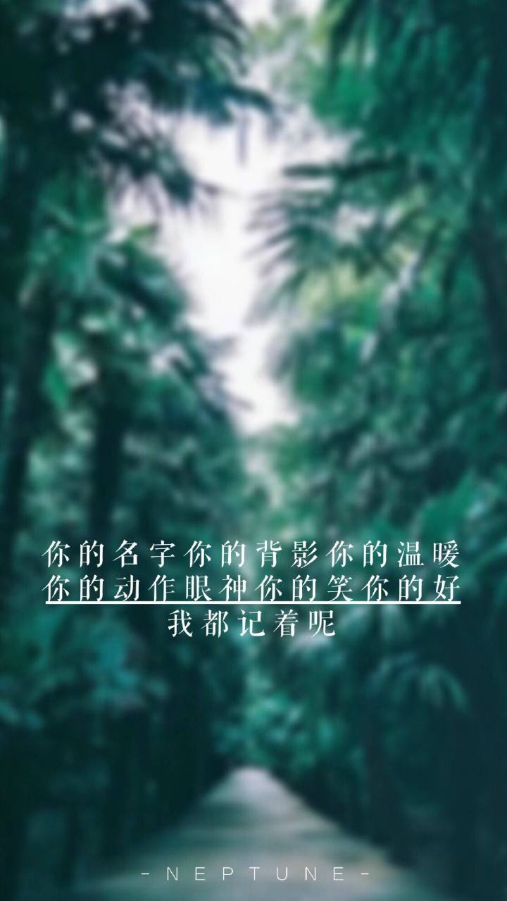 文字 森系 壁纸