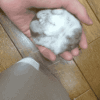 萌物入侵.
