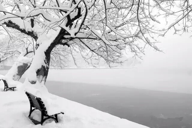 雪景