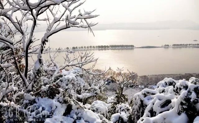 雪景