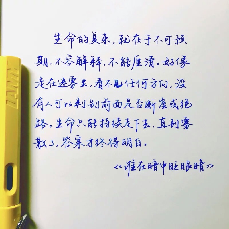 钢笔。文字。书法