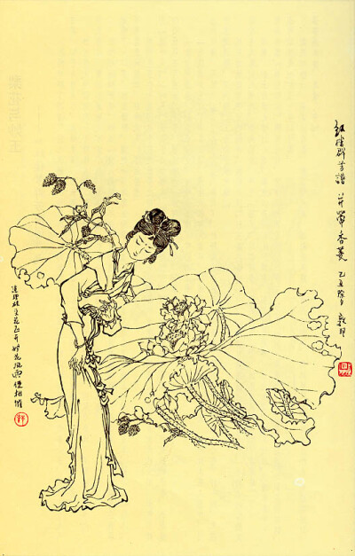 戴邦敦《红楼梦群芳图谱》—— 并蒂香菱