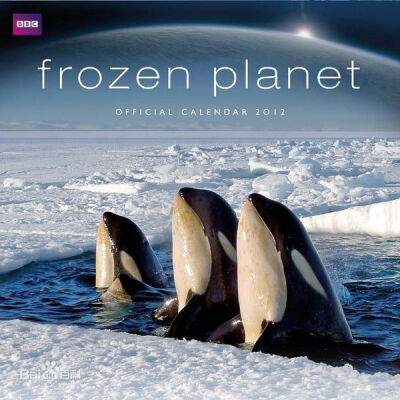 《冰冻星球》（英语：Frozen Planet）为英国广播公司与探索频道及英国公开大学联合制作的自然纪录片，由大卫·爱登堡旁白，2011年10月26日起于英国广播公司第一台及高清频道首播，共7集。