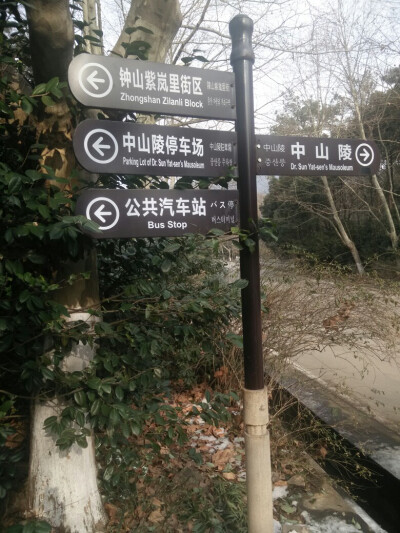 中山陵