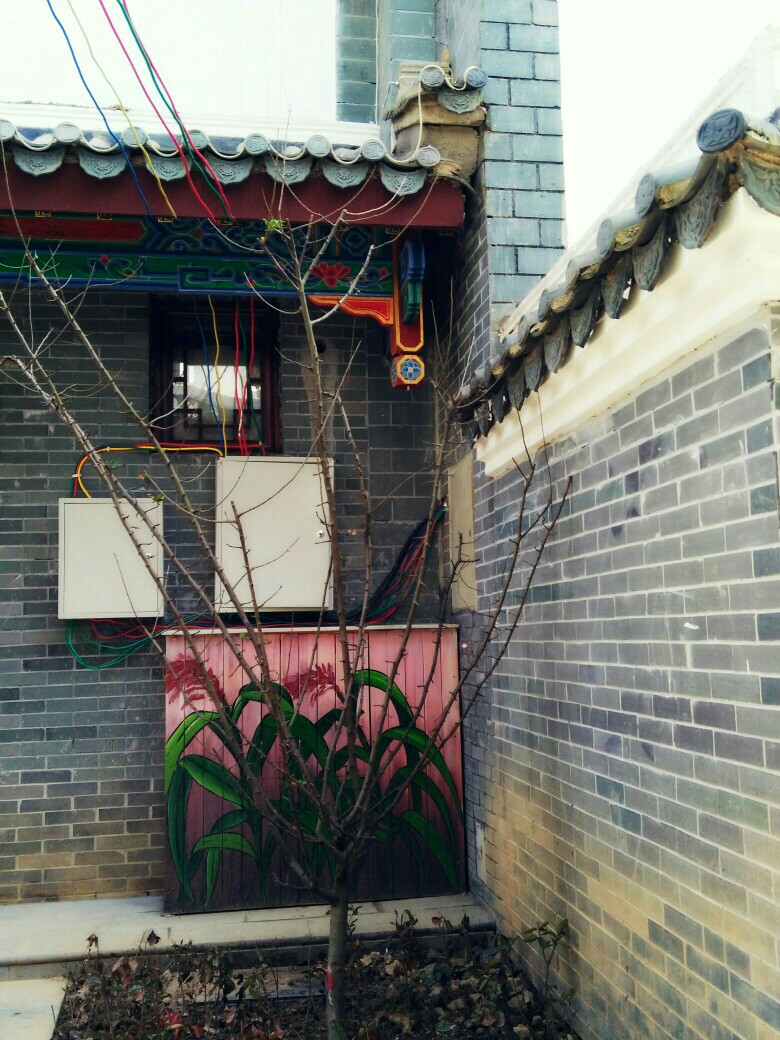 无滤镜 街景16.1.28