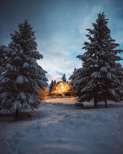 雪夜·松树·小木屋