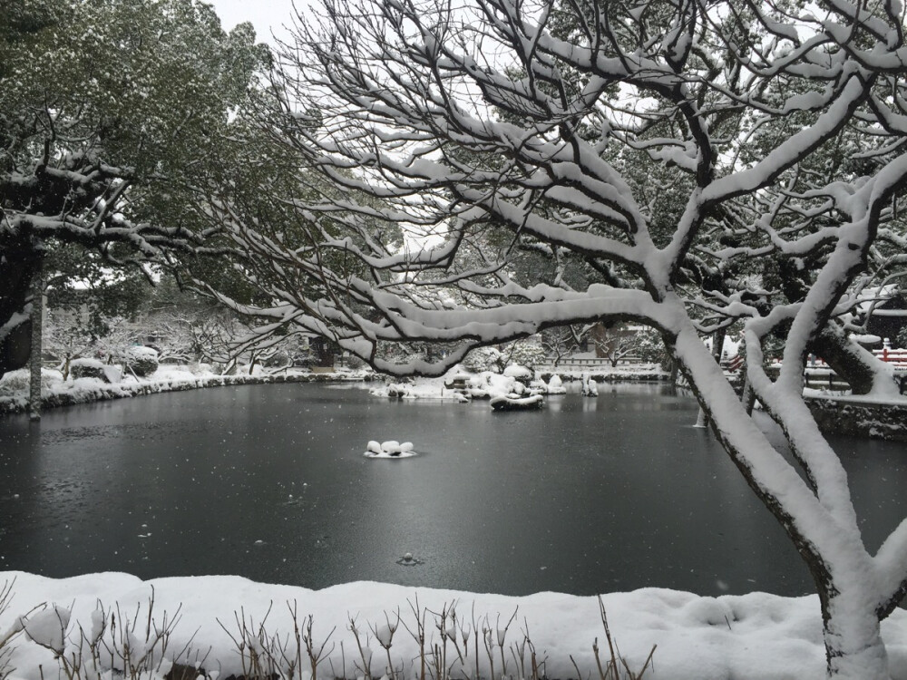 太宰府雪景